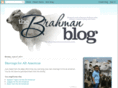 brahmanblog.com