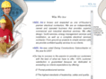 aes-houston.com