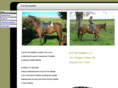 ezfitsaddles.com