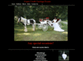 gypsycreekcarriageevents.com