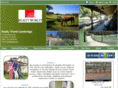 homesofminthill.com