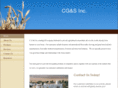 cgsbiz.com