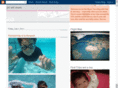 jetsetmom.com