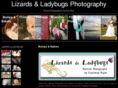 lizardsandladybugsphotography.com