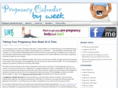 pregnancycalendarbyweek.com