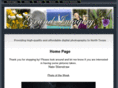 grandimagery.com