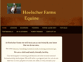 hoelscherfarms.com