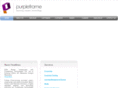 purpleframetech.com
