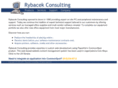 rybacek-consulting.com