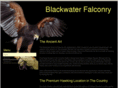 blackwaterfalconry.org