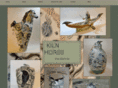 cmckay-kilnhorse.com