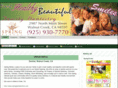 springdentalonline.net