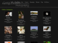 gregcrider.net