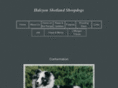 halcyonshelties.com