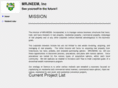 mrjneem.com