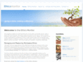 theethicsmonitor.com