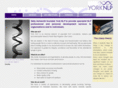 yorknlp.com