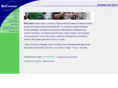 bizconnex.com