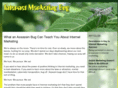 internetmarketingbug.com