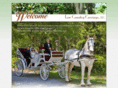 lowcountrycarriage.com