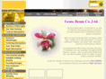gemsbeam.com