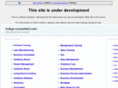 indigo-consultant.com