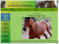 soulofahorse.com
