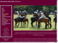 stewartonpolo.com