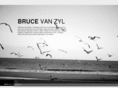 brucevanzyl.com