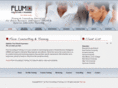 flumconsulting.com