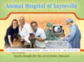 sayrevillevet.com