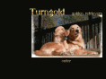 turngoldgoldens.com