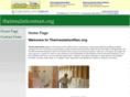 theinsulationman.org