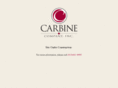 carbinecompany.com