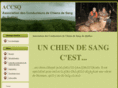 chiensdesang.com