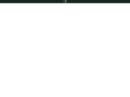 heavygreenent.com