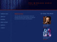 prowirelessaudio.com