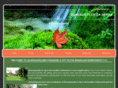 thebrazilianrainforest.com