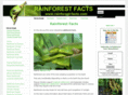rainforest-facts.com