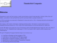thunderbirdcompanies.net