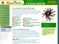 amlon.net