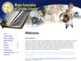 illinoisacs.org