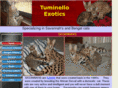 tuminelloexotics.com