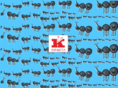 kataplin.com