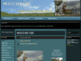 mexicovillage.net