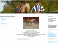 reining-haflinger.de