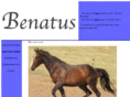 benatus.com