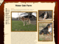bernesemountainpuppy.com