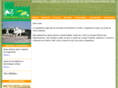 cooperativamontemor.com