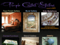purplecactusstudios.com